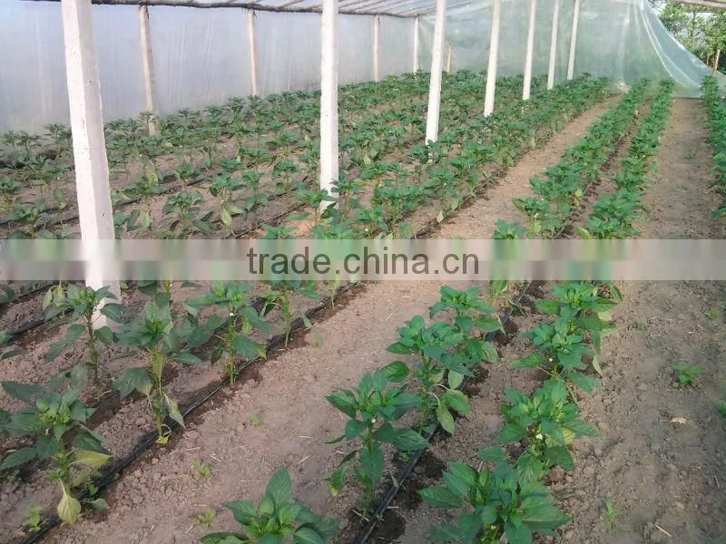 YuShen plastic labyrinth irrigation tape