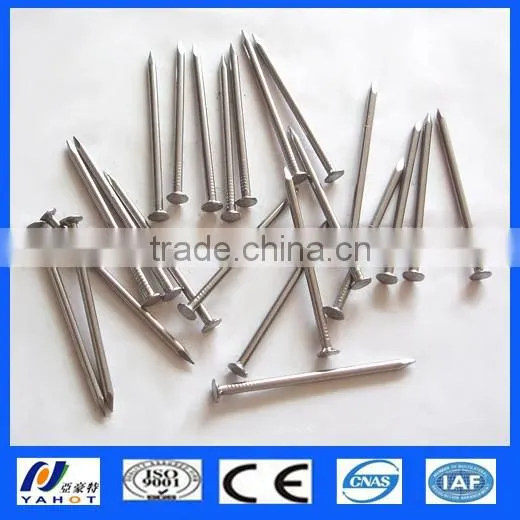 Bright Galvanized Steel Nails