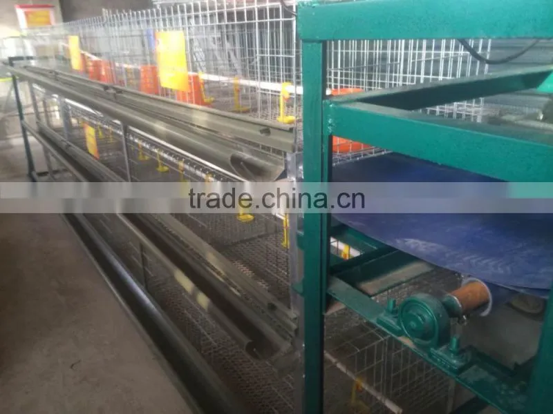 CE 3 Layers broiler battery cagefor cage chicken cage automatic chicken layer cage for sale in philippines HJ-HC120