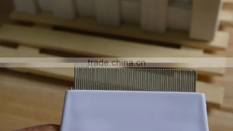 cat louse comb