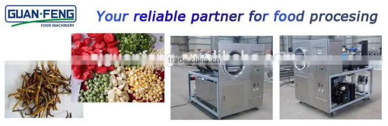 Quality Warranted Food Processing Machinery Fruit Lab Vacuum Freeze Dryer