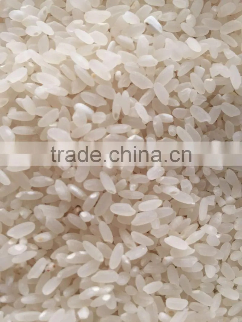 Grain polisher