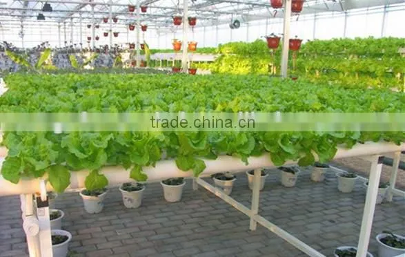 Most Popular Greenhouse NFT Hydroponic Kit 100x50mm