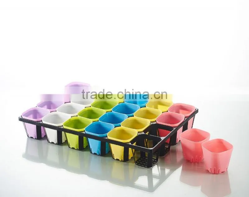 Plastic 24 Divided Plastic Material Hydroponic seedling trays
