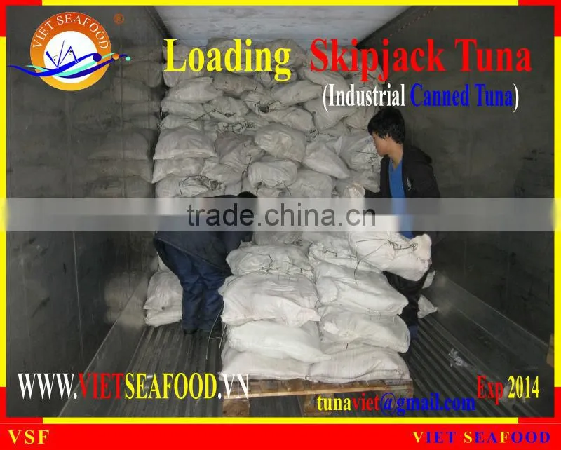 LOADING FROZEN SKIPJACK TUNA W/R
