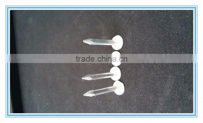 coil roofing,factory direct sale nails