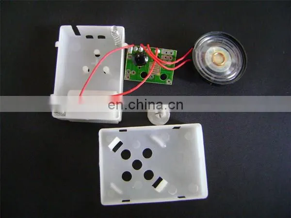 Different animal sounds or music mini voice recorder chip