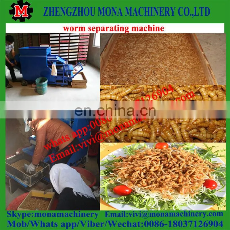 Multifunctional separating plant for Tenebrio molitor, big/small worms, pupa, dead worms