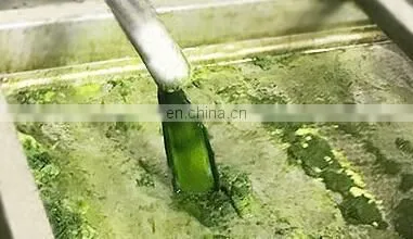 barley powder grass