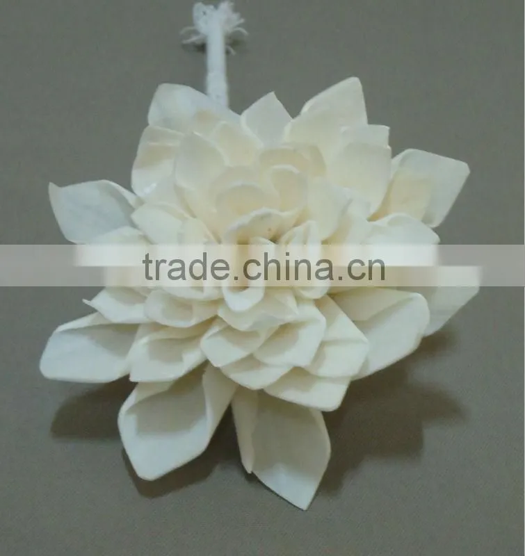 Sola wood flower