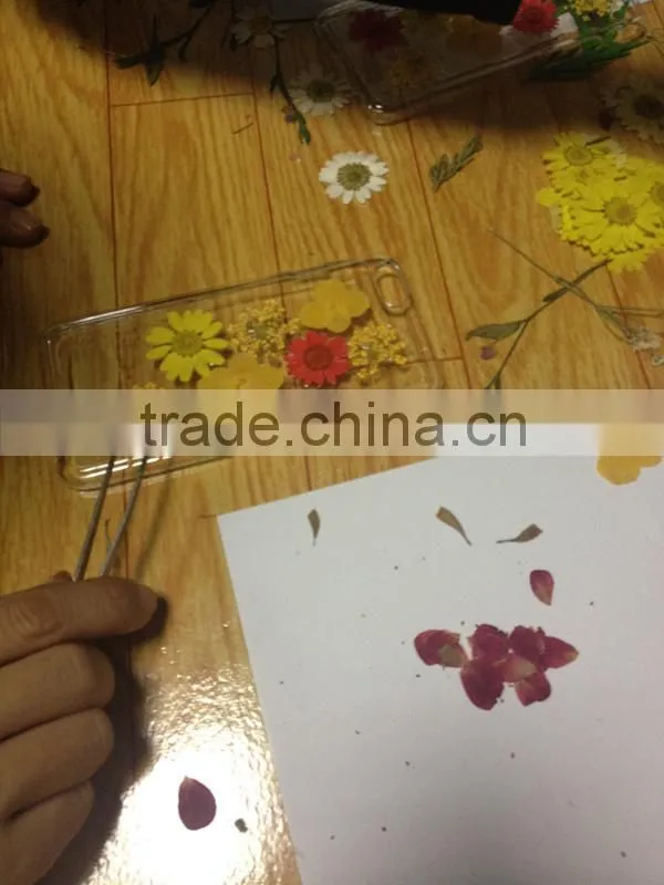true dry flower mobile phone accessories for Iphone 6 p covers