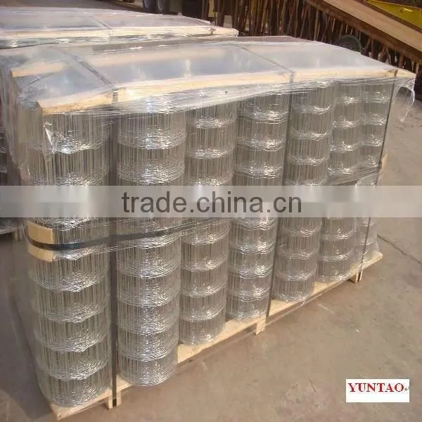 Cheap price sale galvanized welded wire mesh sheet