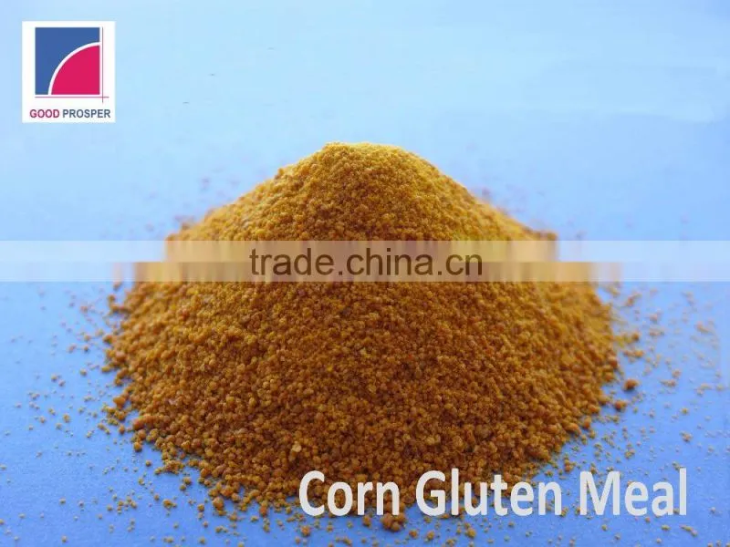 Corn Gluten Meal For Animal Feed Additives With Best Quality