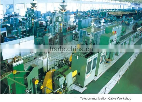 telecommunication cable