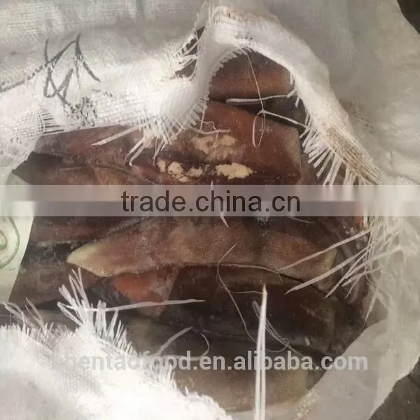 Frozen argentina squid