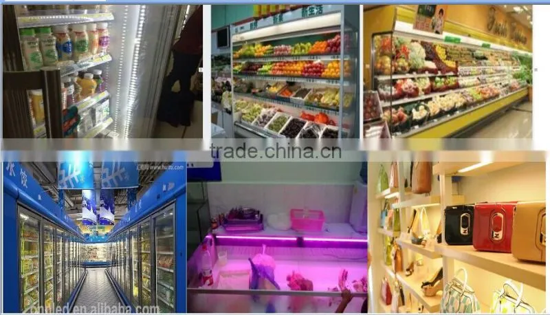 Walk in Cooler Led Freezer Light 12V/24V