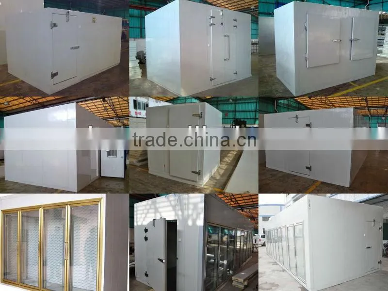 PU Insulation cold room panels for cold room building