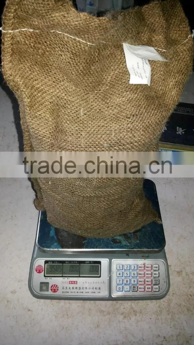 40-50, 50LB gunny bag chinese fresh chestnuts wholesale chestnut