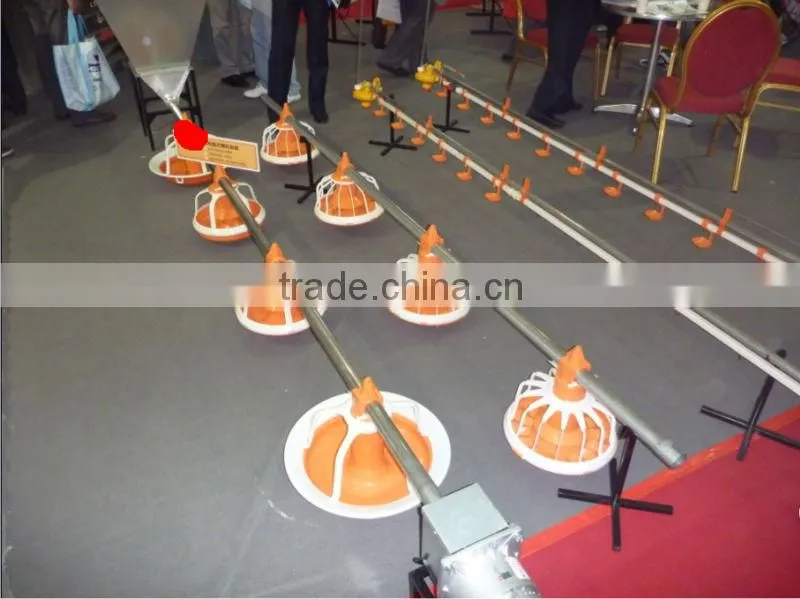poultry feeding system