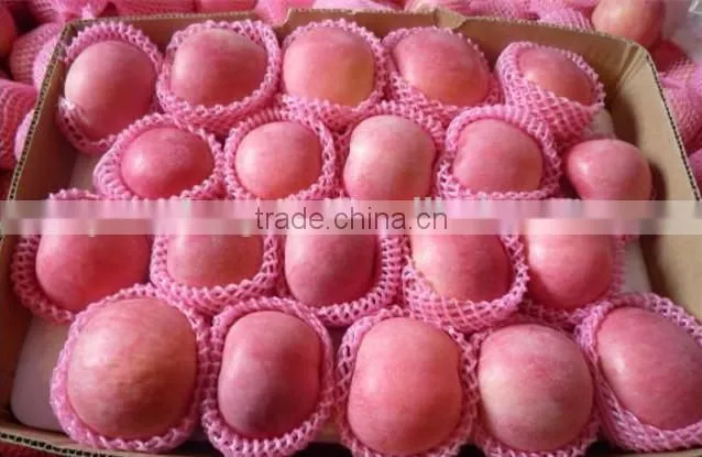 Red mature apple
