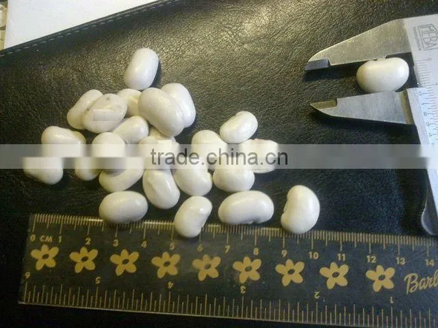 white kideny beans ( sizes 180-200 / 200-240/ 240-260)