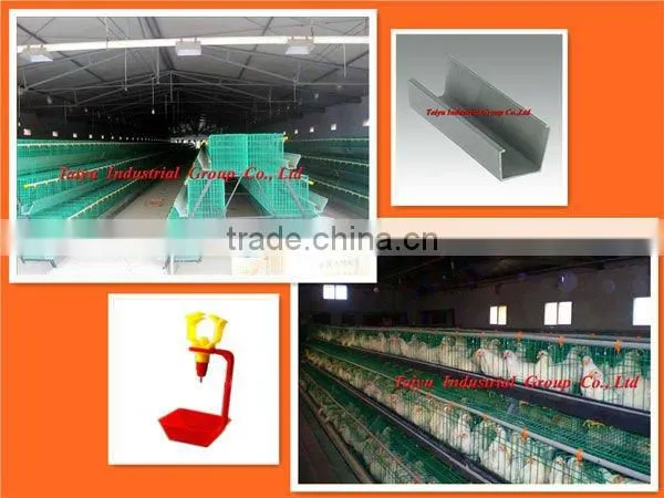 layer poultry cages for Nigeria/africa