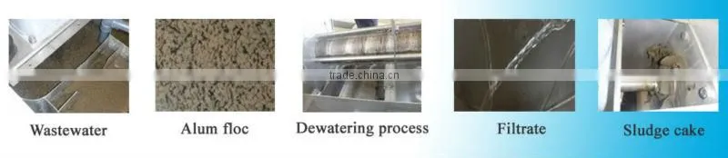sludge dewatering machine for paper mill wastewater treatment XF 303