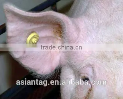 RFID 134.2khz Animal ear tag