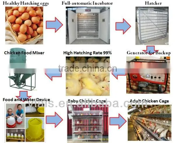 fast hatcher 48 egg incubator
