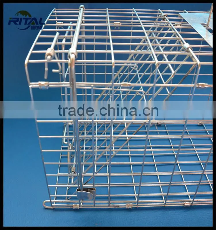 Galvanized Coon Live Cage Trap for Trapping Coon