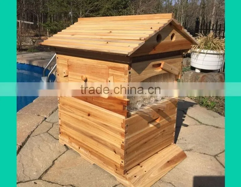 beehive box , super quality flowhive box ,beehive for sale.flowhive with flow frame