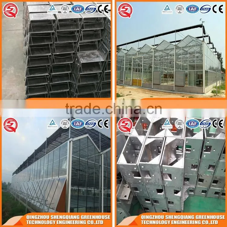 Large glass agricultural greenhouses indoor glass greenhouse used