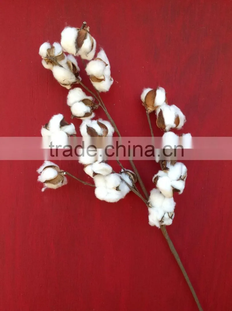 Artificial Cotton Ball and cotton handicrafts