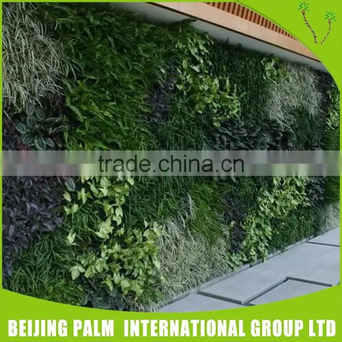 China Direct Sale Plane Artificial Popular Grass Wall