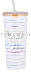 550ml stainless steel Inner plastic outer steel double layer cup with straw