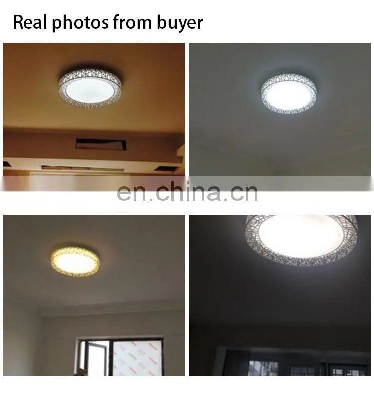 Modern LED Dimmable Ceiling Lighting Nest Dia45-80cm Kitchen Living Room Bed room Ceiling Lighting Iron Ceiling Lamp
