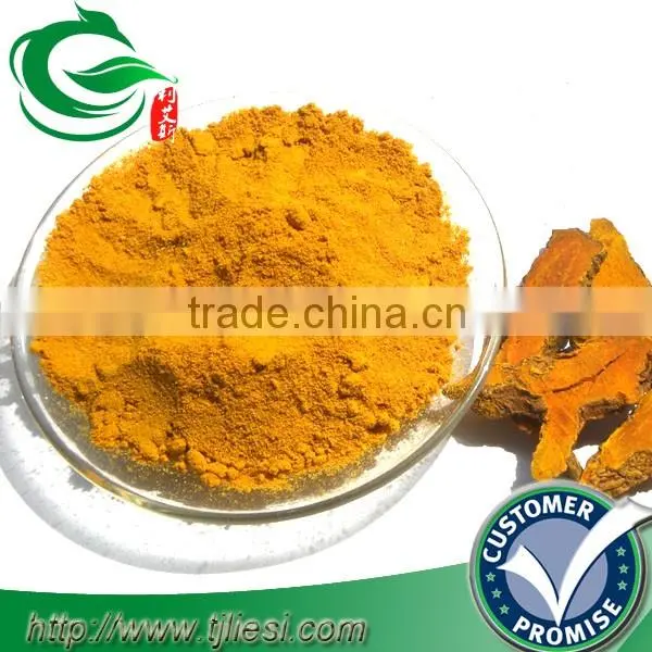 supply tumeric powder for pungent spice