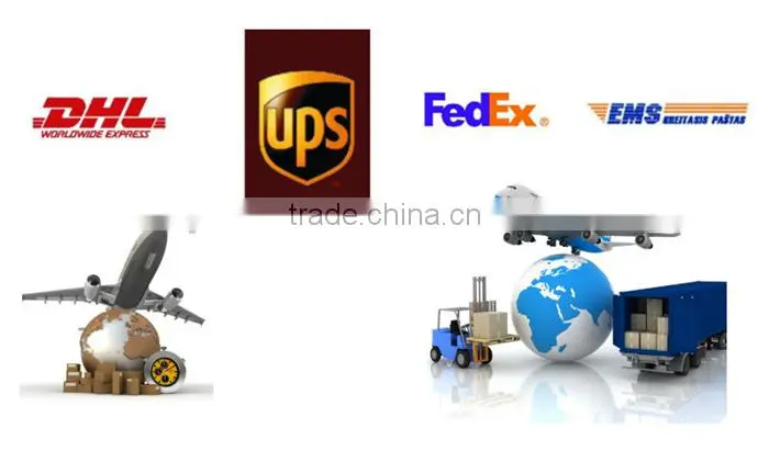 IR High Speed dome CCTV camera