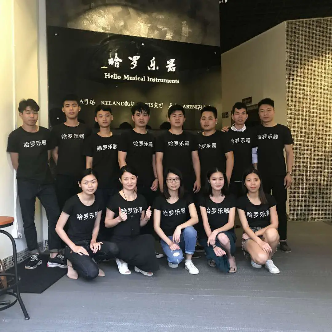 Guangzhou Haro Musical Instruments Co., Ltd. company overview - view 1