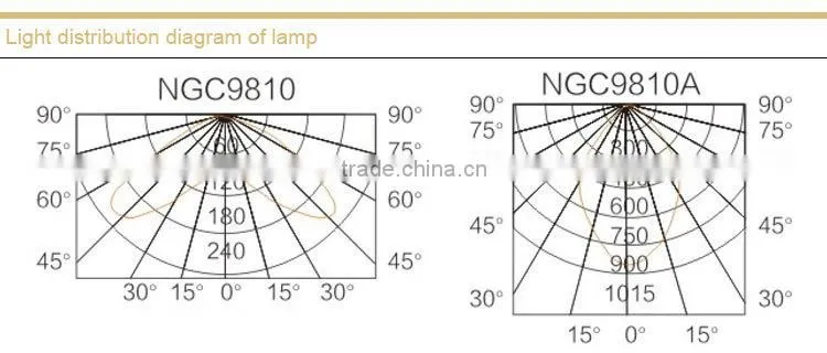 NGC9810 Ceiling Light
