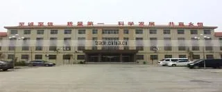 Greentour Tire (Beijing) Co., Ltd. (Shanghai Global Sales Division) company overview - view 2