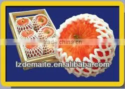 Foam Mesh Foam Net