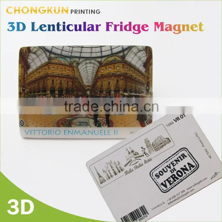 3d lenticular fridge magnet, custom souvenir fridge magnet
