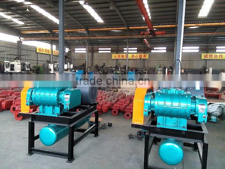 LRB low pressure roots blower