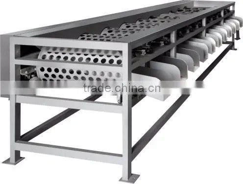 roller fruit classifier