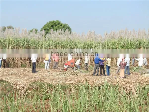 6BZ-5 sugarcane top removing machine/sugarcane leaf removing machine for sale