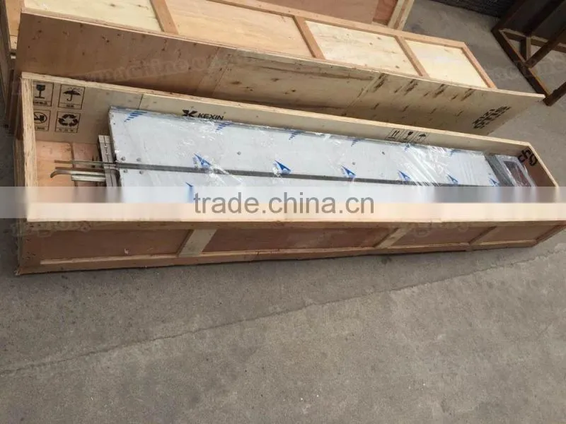Automatic Horizontal Pillow Type Popsicle Packaging Machine