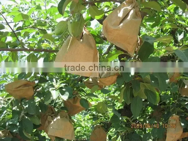 Crop Fuji apple