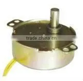 synchronous motor