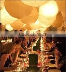 handmade animal Chinese paper lampion